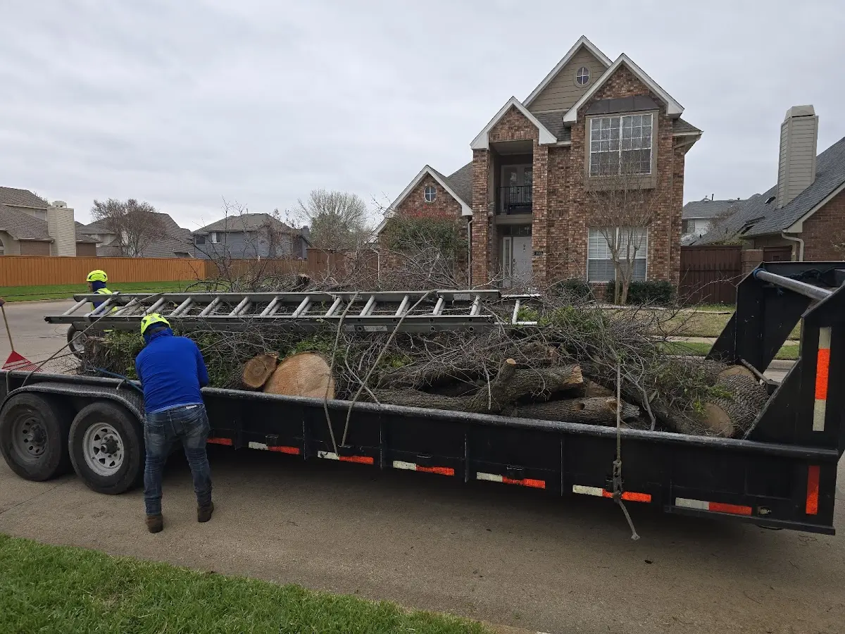 Expert Tree Fertilization with proper safety equipment in Sikeston